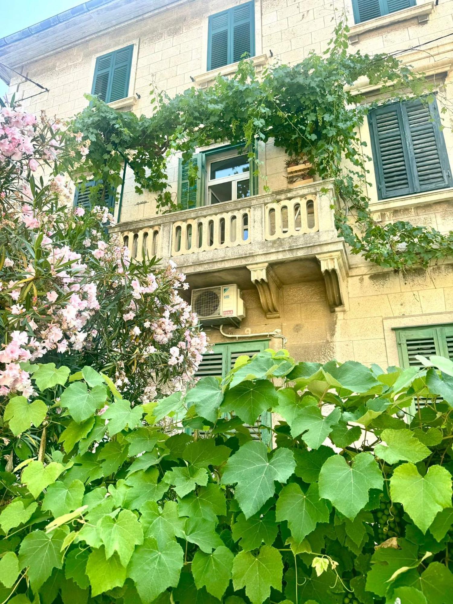 Location Downtown & Bacvice Split